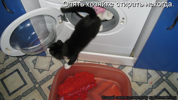 Котоматрица: Опять хозяйке стирать некогда.