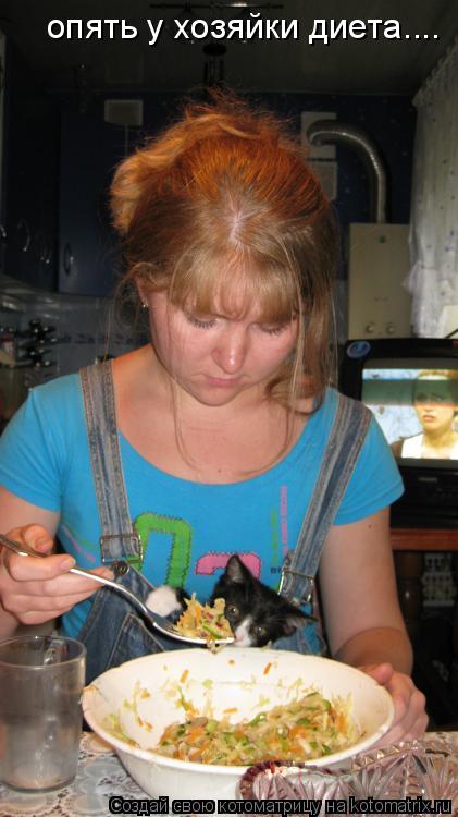 Котоматрица: опять у хозяйки диета....