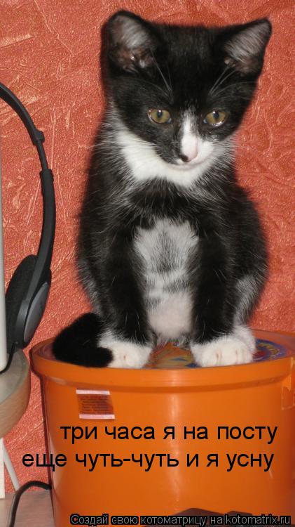 Котоматрица: три часа я на посту еще чуть-чуть и я усну
