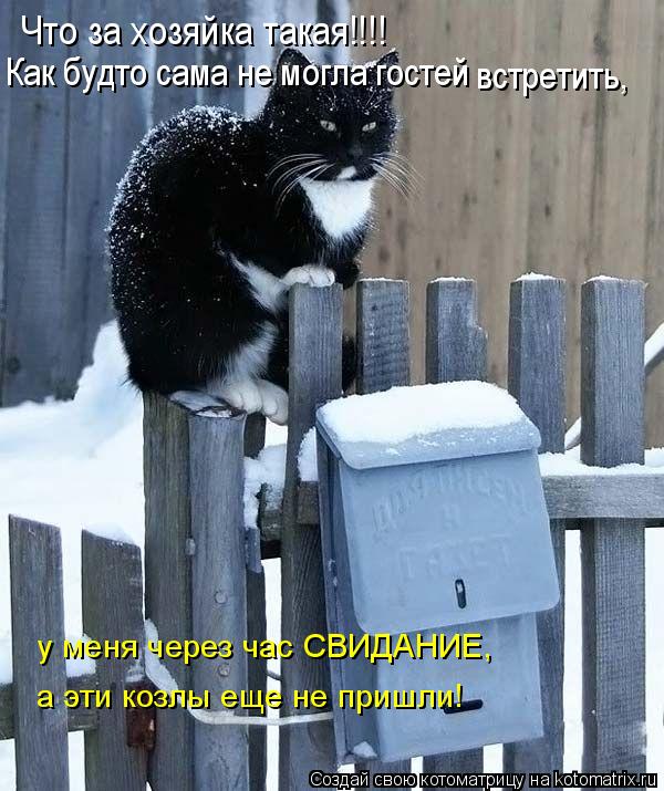 Котоматрица: Что за хозяйка такая!!!! Как будто сама не могла гостей встретить, у меня через час СВИДАНИЕ,  а эти козлы еще не пришли!