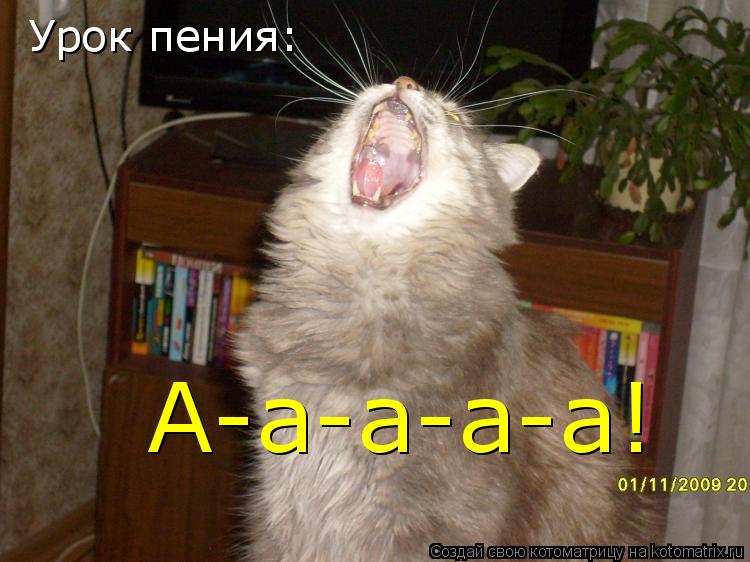 Котоматрица: Урок пения: А-а-а-а-а!