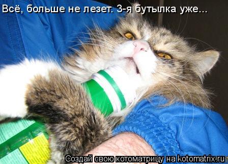 Всё, больше не лезет. 3-я бутылка уже...... Котоматрица: Всё, больше не лезет. 3-я бутылка уже...