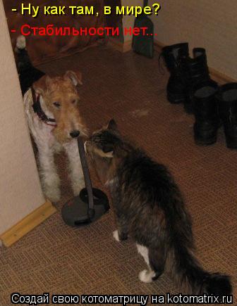 - Ну как там, в мире? - Стабильности нет...... Котоматрица: - Ну как там, в мире? - Стабильности нет...