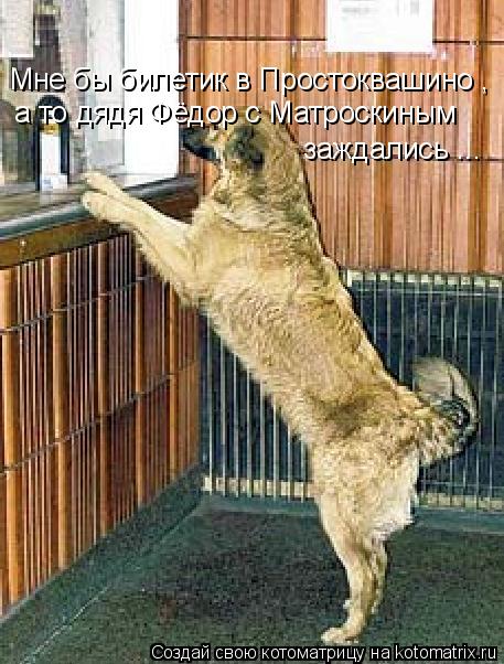 Мне бы билетик в Простоквашино , а то дядя Фёдор с Матроскиным заждались ...... Котоматрица: Мне бы билетик в Простоквашино , а то дядя Фёдор с Матроскиным заждались ...