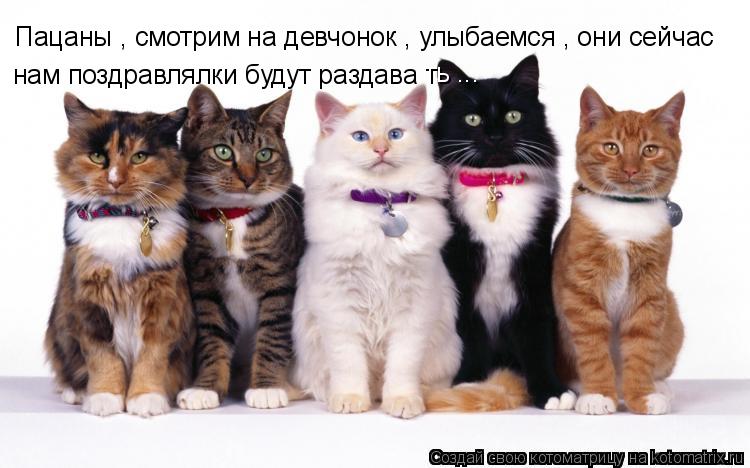 Пацаны , смотрим на девчонок , улыбаемся , они сейчас нам поздравлялки будут раздава ть ...... Котоматрица: Пацаны , смотрим на девчонок , улыбаемся , они сейчас нам поздравлялки будут раздава ть ...