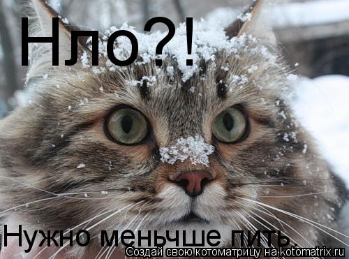 Нло?! Нужно меньчше пить.... Котоматрица: Нло?! Нужно меньчше пить.