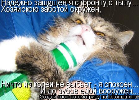 Котоматрица: Ничто из колеи не выбьет - я спокоен... И до зубов едой вооружен... Надёжно защищён я с фронту,с тылу... Хозяйскою заботой окружен,
