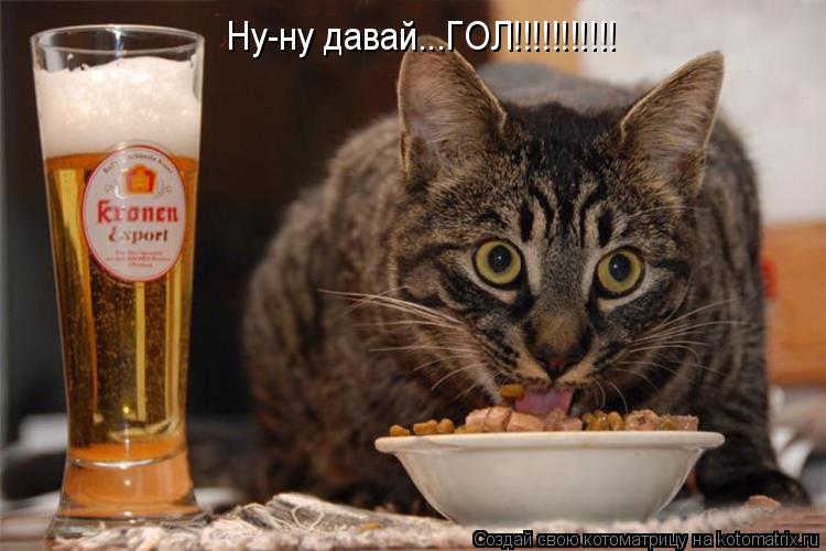Котоматрица: Ну-ну давай...ГОЛ!!!!!!!!!!!
