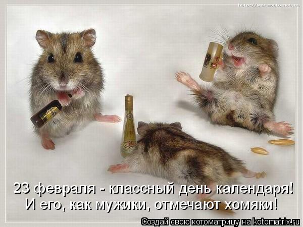 http://kotomatrix.ru/images/lolz/2010/02/23/495952.jpg