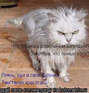 Котоматрица: Там такая красота!!! Глянь, иди в свои ботинки, Счастлив, что помыл кота? Что глядишь довольным взглядом?