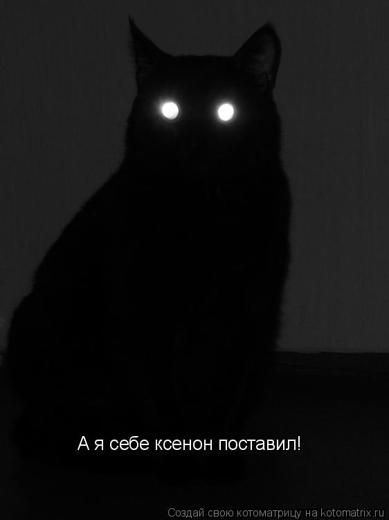 Котоматрица: А я себе ксенон поставил!
