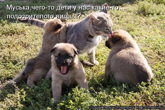 Котоматрица: Муська,чего-то дети у нас какие-то... подозрителого вида..!?