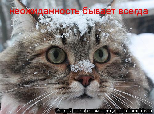 неожиданность бывает всегда... Котоматрица: неожиданность бывает всегда