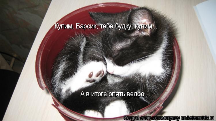 А в итоге опять ведро... Купим, Барсик, тебе будку, купим...... Котоматрица: А в итоге опять ведро... Купим, Барсик, тебе будку, купим...