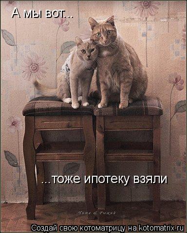 А мы вот... ...тоже ипотеку взяли... Котоматрица: А мы вот... ...тоже ипотеку взяли