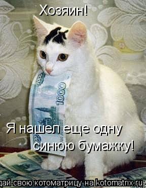 Хозяин! Я нашел еще одну синюю бумажку!... Котоматрица: Хозяин! Я нашел еще одну синюю бумажку!