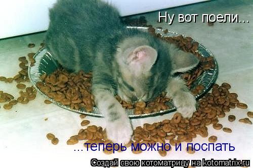 Ну вот поели... ...теперь можно и поспать... Котоматрица: Ну вот поели... ...теперь можно и поспать