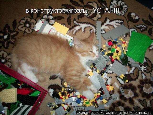 Котоматрица: в конструктор играл.....УСТАЛ!!!