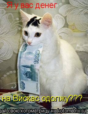 Котоматрица: Я у вас денег на Вискас одолжу???