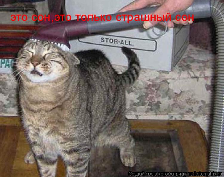 Котоматрица: это сон,это только страшный сон