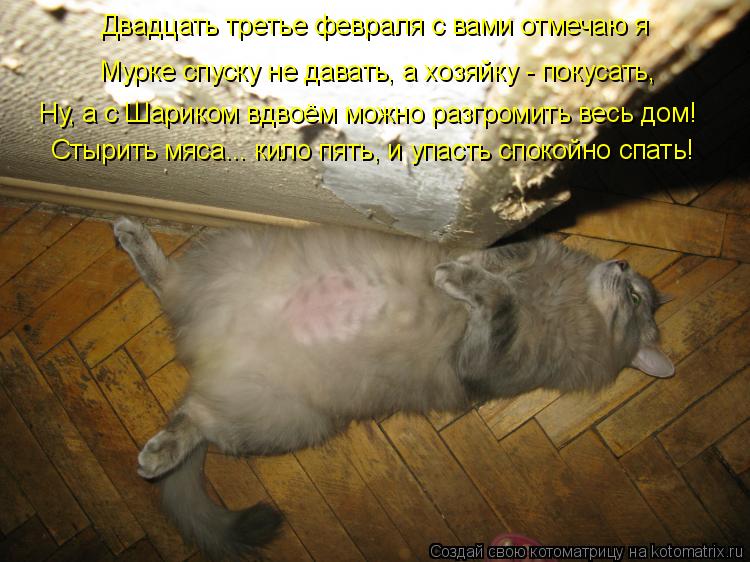 Котоматрица: Двадцать третье февраля с вами отмечаю я Мурке спуску не давать, а хозяйку - покусать, Ну, а с Шариком вдвоём можно разгромить весь дом! Стыри