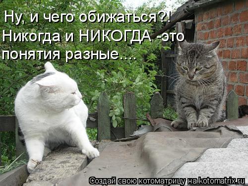 Котоматрица: Ну, и чего обижаться?!  Никогда и НИКОГДА -это  понятия разные....