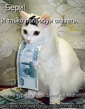 Котоматрица: Бери! И тлько попробуй сказать, что на курицу опять денег не хватило!