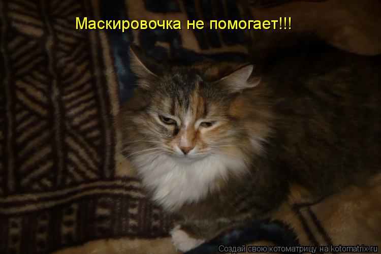 Котоматрица: Маскировочка не помогает!!!
