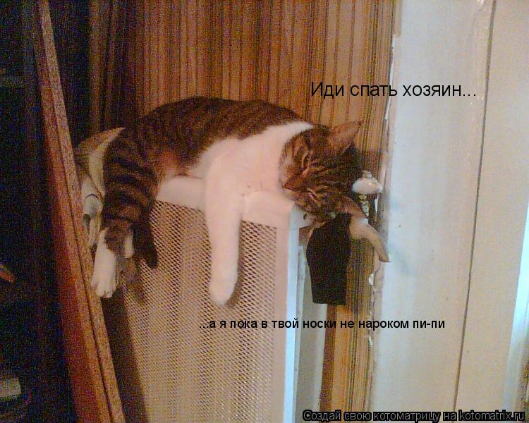 Иди спать хозяин... ...а я пока в твой носки не нароком пи-пи... Котоматрица: Иди спать хозяин... ...а я пока в твой носки не нароком пи-пи