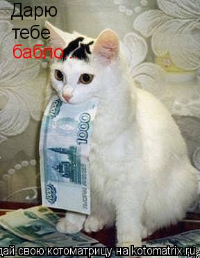 Дарю тебе бабло...... Котоматрица: Дарю тебе бабло...