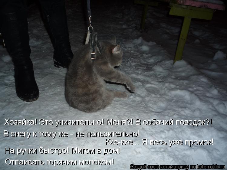 Хозяйка! Это унизительно! Меня?! В собачий поводок?! На ручки быстро! Мигом в дом! Отпаивать горячим... Котоматрица: Хозяйка! Это унизительно! Меня?! В собачий поводок?! На ручки быстро! Мигом в дом! Отпаивать горячим молоком! Кхе-кхе... Я весь уже промок! В сне