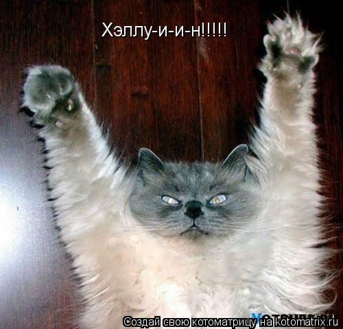 Хэллу-и-и-н!!!!!... Котоматрица: Хэллу-и-и-н!!!!!