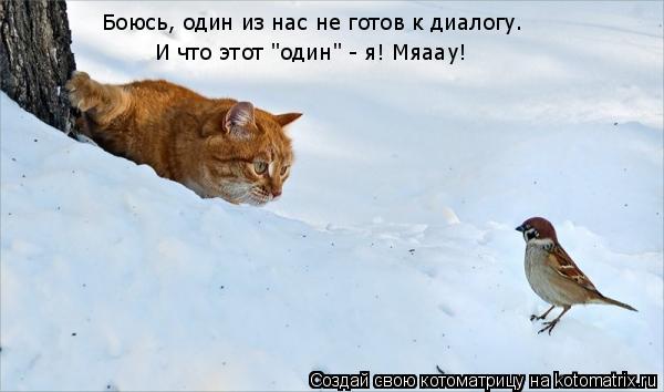 Боюсь, один из нас не готов к диалогу. И что этот "один" - я! Мяаау!... Котоматрица: Боюсь, один из нас не готов к диалогу. И что этот "один" - я! Мяаау!