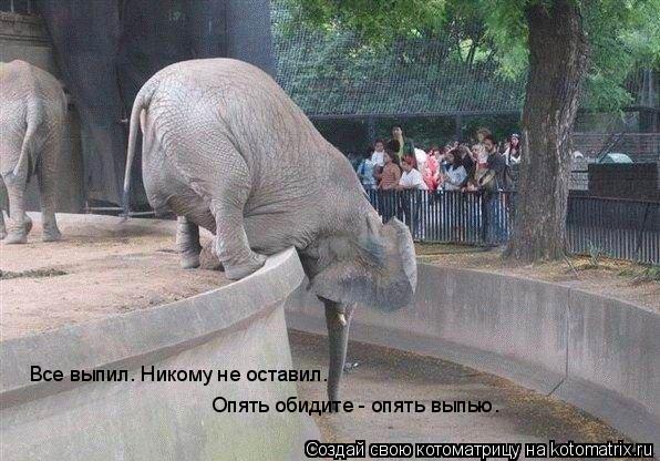 Все выпил. Никому не оставил. Опять обидите - опять выпью.... Котоматрица: Все выпил. Никому не оставил. Опять обидите - опять выпью.