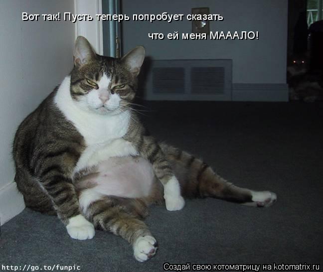 Котоматрица: Вот так! Пусть теперь попробует сказать что ей меня МАААЛО!