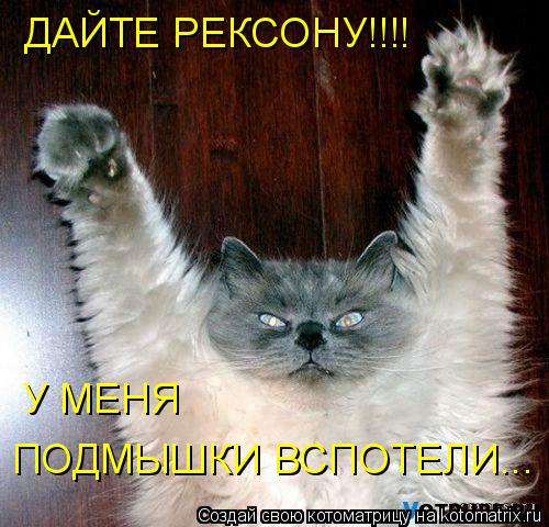 Котоматрица: У МЕНЯ ПОДМЫШКИ ВСПОТЕЛИ... ДАЙТЕ РЕКСОНУ!!!!