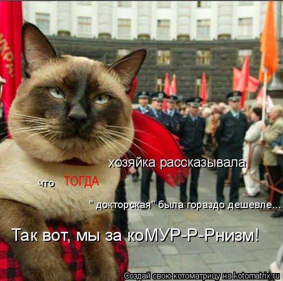 Котоматрица: хозяйка рассказывала       что   ТОГДА         " докторская" была гораздо дешевле... Так вот, мы за коМУР-Р-Рнизм!