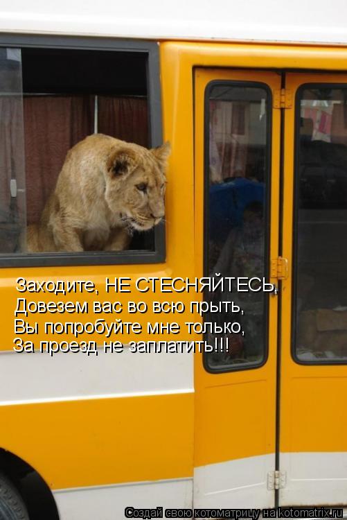 Котоматрица: Заходите, НЕ СТЕСНЯЙТЕСЬ, Довезем вас во всю прыть, Вы попробуйте мне только, За проезд не заплатить!!!