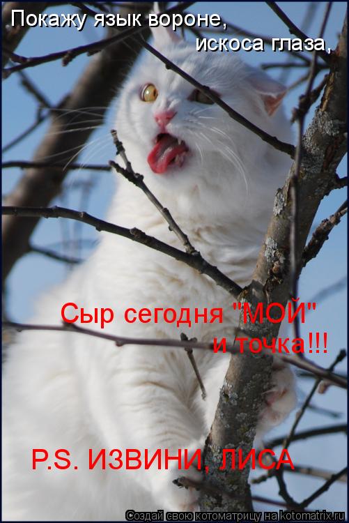 Котоматрица: Покажу язык вороне, искоса глаза, Сыр сегодня "МОЙ" и точка!!! P.S. ИЗВИНИ, ЛИСА