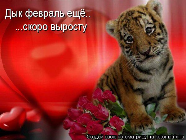 Котоматрица: Дык февраль ещё.... Не дорос я... Дык февраль ещё.. ...скоро выросту