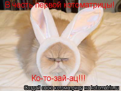 Котоматрица: В честь первой котоматрицы! Ко-то-зай-ац!!!