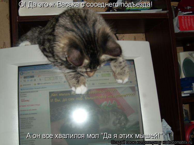 Котоматрица: О! Да это ж Васька с соседнего подъезда! А он все хвалился мол "Да я этих мышей!"
