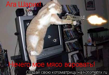 Котоматрица: Ага Шарик! Нечего мое мясо воровать!
