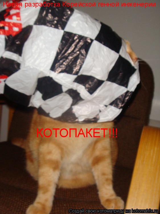 Котоматрица: Новая разработка Корейской генной инженерии КОТОПАКЕТ!!!