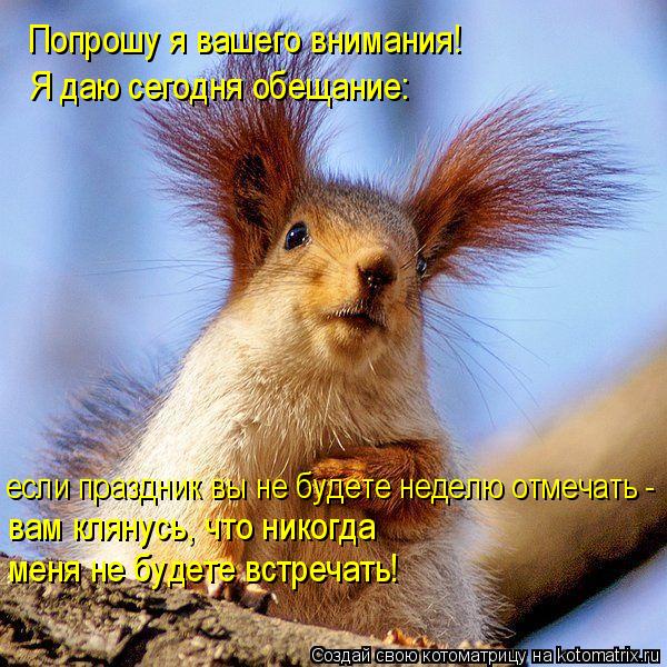 Попрошу я вашего внимания! Я даю сегодня обещание: если праздник вы не будете неделю отмечать - вам ... Котоматрица: Попрошу я вашего внимания! Я даю сегодня обещание: если праздник вы не будете неделю отмечать - вам клянусь, что никогда меня не будете встр