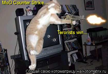 Котоматрица: MoD Counter Strike... Terorists win...