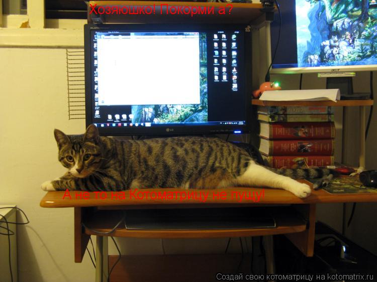 Котоматрица: Хозяюшко! Покорми а? А не то на Котоматрицу не пущу!