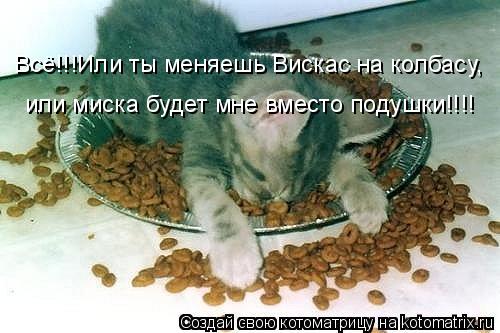 Котоматрица: Всё!!!Или ты меняешь Вискас на колбасу, или миска будет мне вместо подушки!!!!
