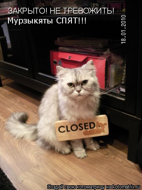 Котоматрица: ЗАКРЫТО! НЕ ТРЕВОЖИТЬ!  Мурзыкяты СПЯТ!!!