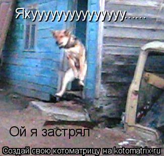 Котоматрица: Яхууууууууууууууу...... Ой я застрял